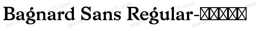 Bagnard Sans Regular字体转换